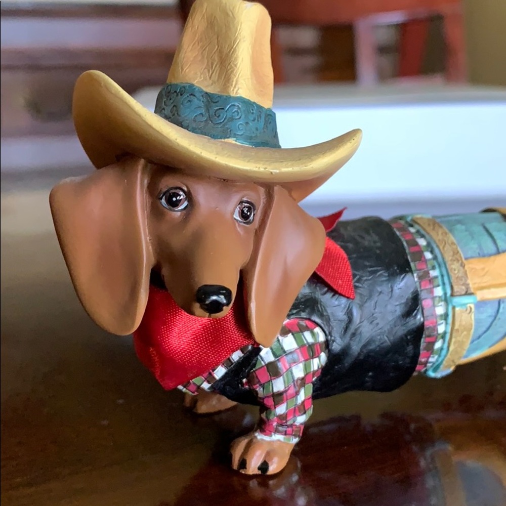 Hot Diggity Cowboy dachshund